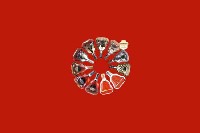 烟台市牟平回收红酒